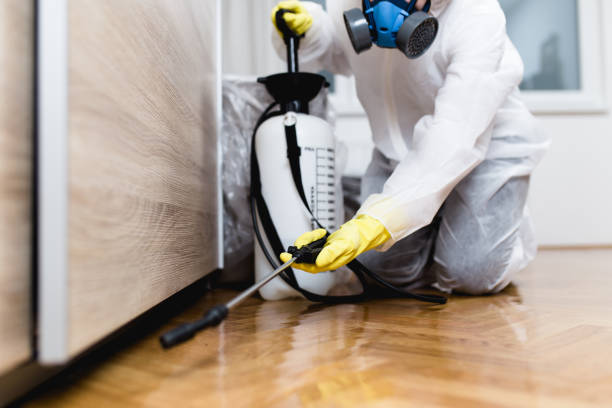 Best Pest Control Near Me  in Rio Grande, OH