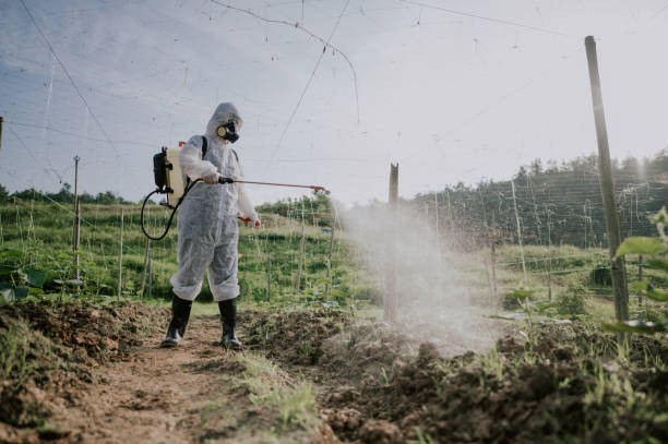 Best Commercial Pest Control Services  in Rio Grande, OH