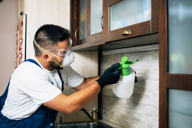  Rio Grande, OH Pest Control Pros