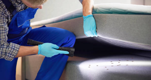 Best Cockroach Control Services  in Rio Grande, OH