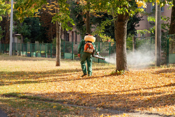 Best Bed Bug Extermination  in Rio Grande, OH