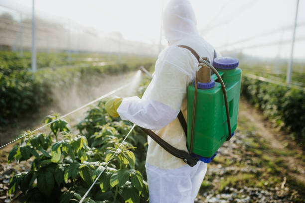 Best Best Pest Control Companies  in Rio Grande, OH